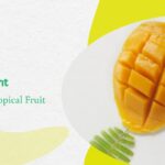 Mango Delight: Enjoying the Tropical Fruit without Guilt